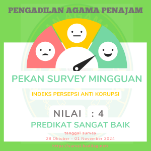 survey 28 10 nov 2024
